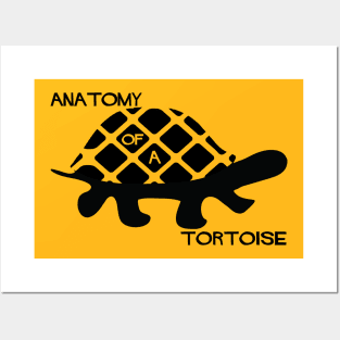 Anatomy of a Tortoise Posters and Art